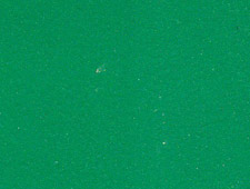 brightgreen