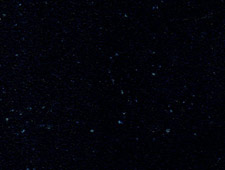speckblack